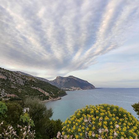 Appartamento A 50 Mt Dal Mare Cala Gonone Dış mekan fotoğraf