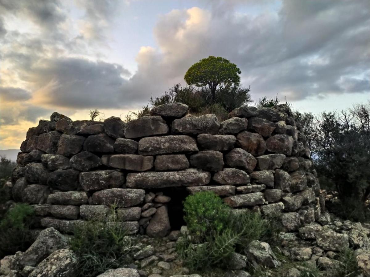 Appartamento A 50 Mt Dal Mare Cala Gonone Dış mekan fotoğraf