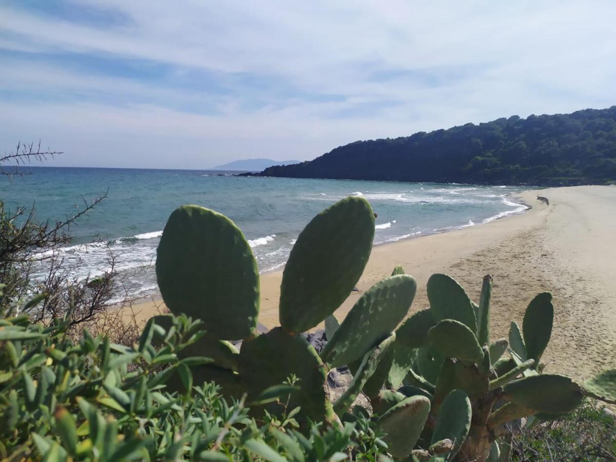 Appartamento A 50 Mt Dal Mare Cala Gonone Dış mekan fotoğraf