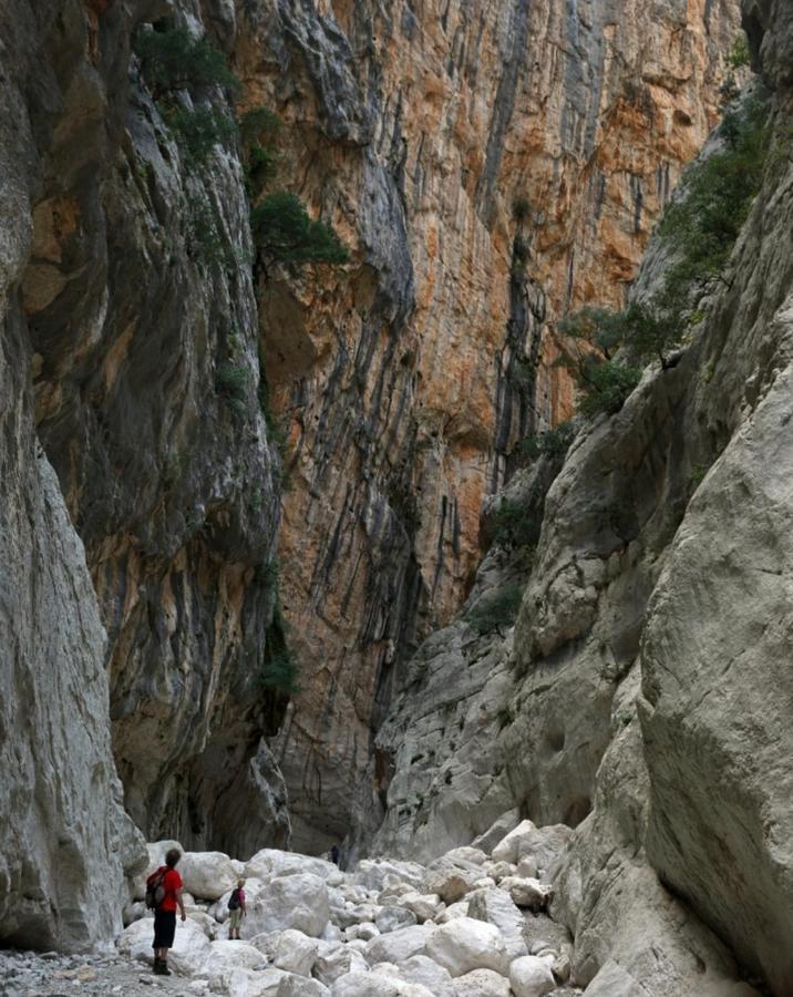 Appartamento A 50 Mt Dal Mare Cala Gonone Dış mekan fotoğraf