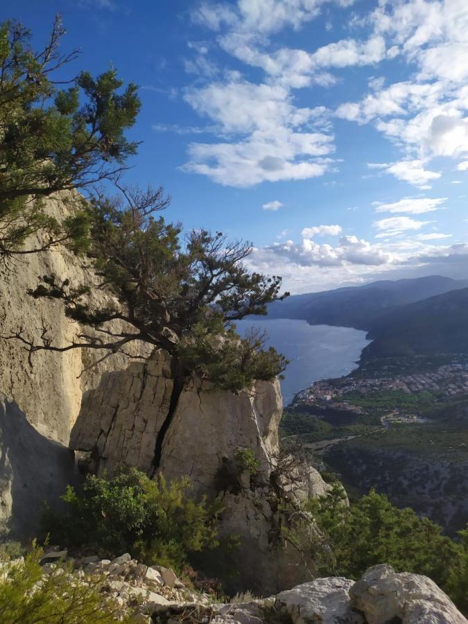 Appartamento A 50 Mt Dal Mare Cala Gonone Dış mekan fotoğraf