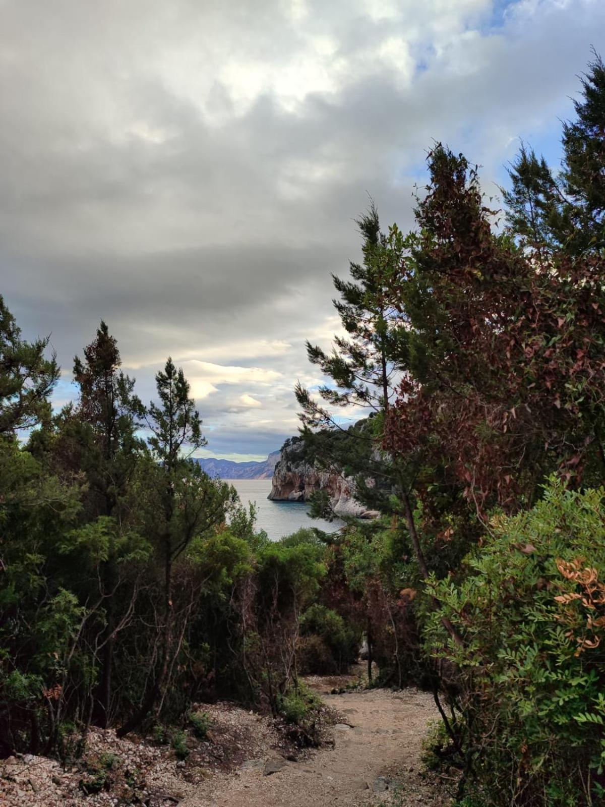 Appartamento A 50 Mt Dal Mare Cala Gonone Dış mekan fotoğraf